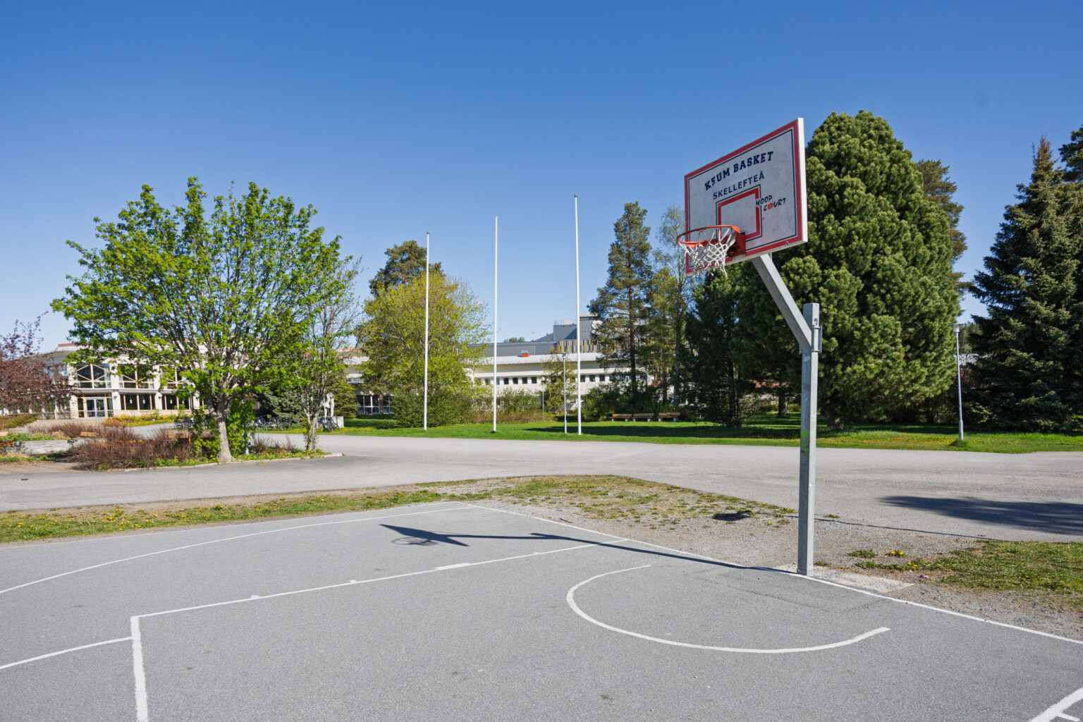 Streetbasket 3